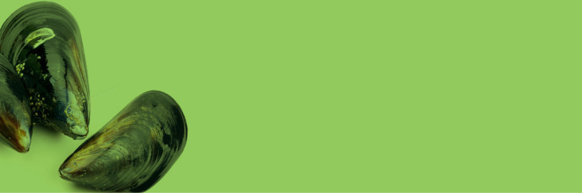 The Global Seafood Marketplace 2025